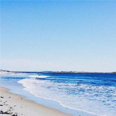 张雪峰社交平台账号头像变灰