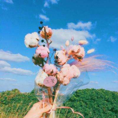 华夏基金一季度新发基金“哑火”:仅5只新基,31亿规模,发行规模排名滑落至27位