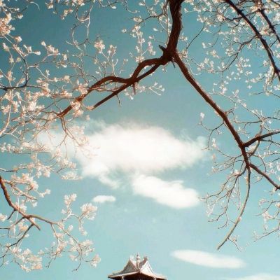 三维坐标测量仪如何选择厂家？基...